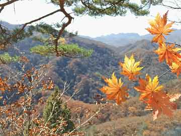 购买米非司酮片打胎药打胎药私人（打胎药私人微信联系方式）